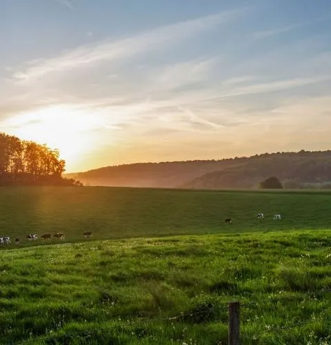 Normandy countryside scenic 5-day tour landscapes